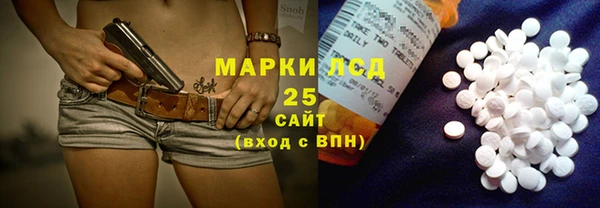 ГАЛЛЮЦИНОГЕННЫЕ ГРИБЫ Богданович
