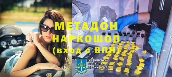 ГАЛЛЮЦИНОГЕННЫЕ ГРИБЫ Богданович