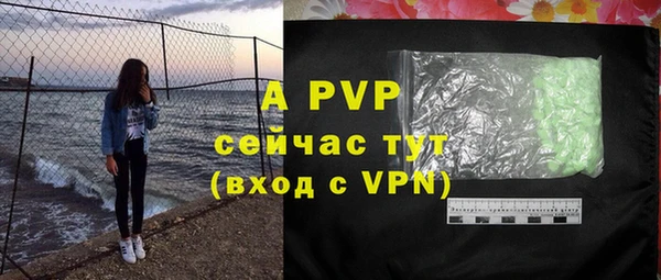 ГАЛЛЮЦИНОГЕННЫЕ ГРИБЫ Богданович