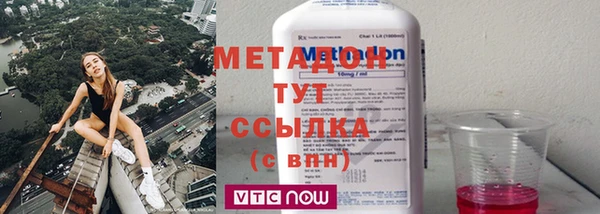 ГАЛЛЮЦИНОГЕННЫЕ ГРИБЫ Богданович