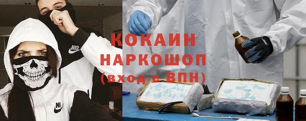 ГАЛЛЮЦИНОГЕННЫЕ ГРИБЫ Богданович